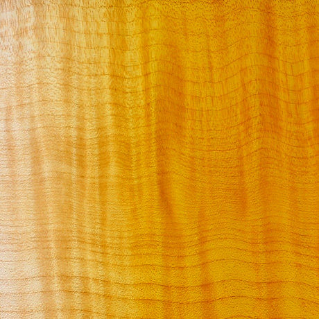 Clear Amber Nitrocellulose Lacquer Aerosol
