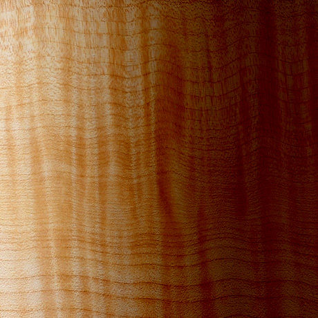 Clear Medium Brown Nitrocellulose Lacquer Aerosol