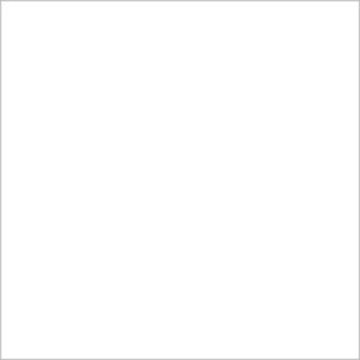 White Cellulose Primer