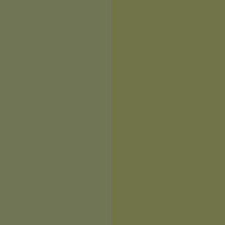 Olive Green Nitrocellulose Lacquer Aerosol