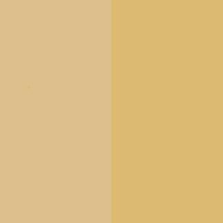 Desert Sand Nitrocellulose Lacquer Aerosol