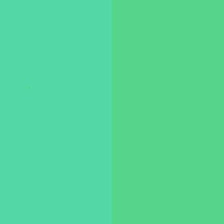 Foam Green Nitrocellulose Lacquer Aerosol