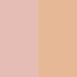 Shell Pink Nitrocellulose Lacquer Aerosol