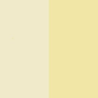 Vintage White Nitrocellulose Lacquer Aerosol