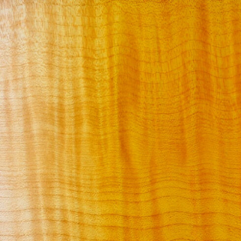 Clear Amber Nitrocellulose Lacquer Aerosol