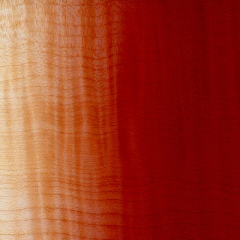 Clear Cherry Nitrocellulose Lacquer Aerosol