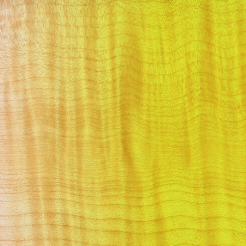 Clear Lemon Nitrocellulose Lacquer Aerosol