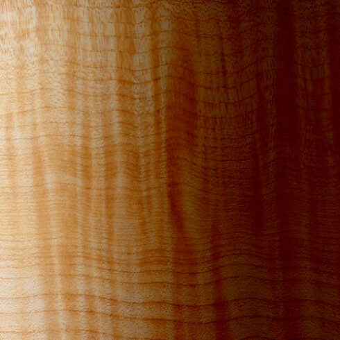 Clear Medium Brown Nitrocellulose Lacquer Aerosol