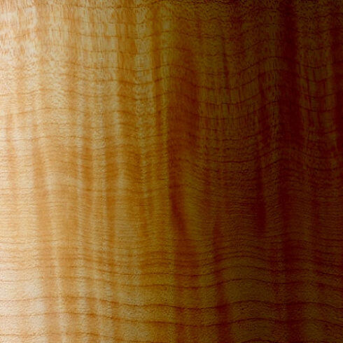 Clear Walnut Brown Nitrocellulose Lacquer Aerosol