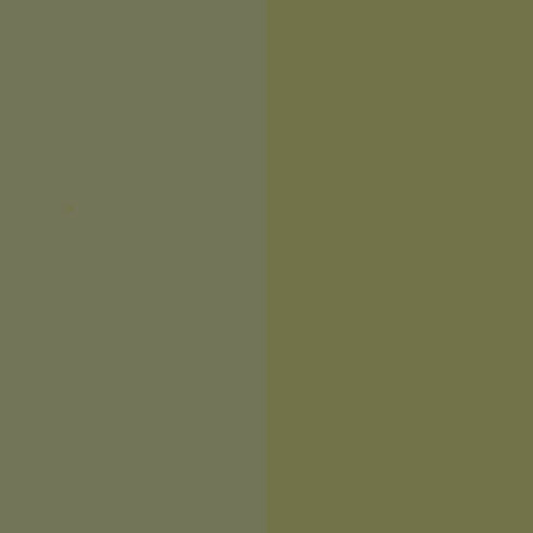 Olive Green Nitrocellulose Lacquer Aerosol