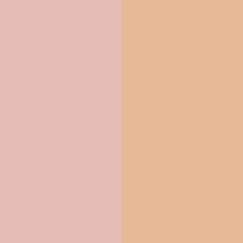 Shell Pink Nitrocellulose Lacquer Aerosol